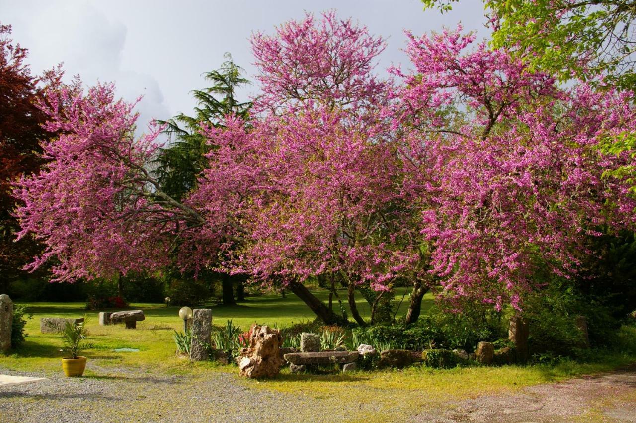 Domaine Les Grandes Roches Bed & Breakfast Tregunc Exterior photo